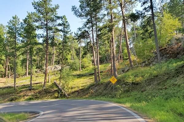 Driving to cc gideon tunnel. iron mountain road. south dakota travel blog