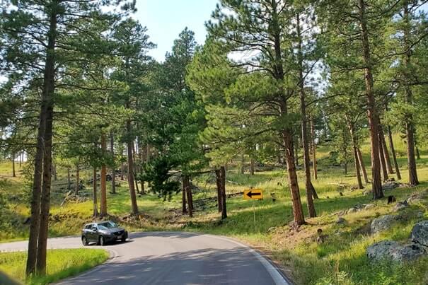 Driving iron mountain road to cc gideon tunnel, black hills national forest. south dakota travel blog