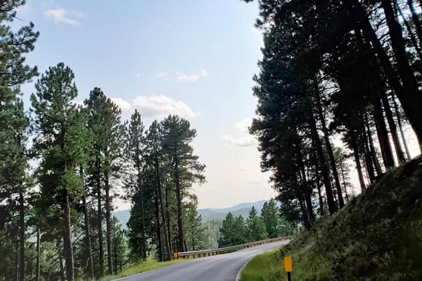 Driving iron mountain road to cc gideon tunnel, black hills national forest. south dakota travel blog
