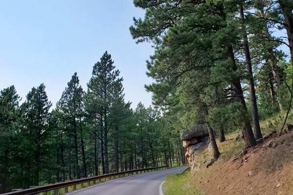 Driving iron mountain road to cc gideon tunnel, black hills national forest. south dakota travel blog