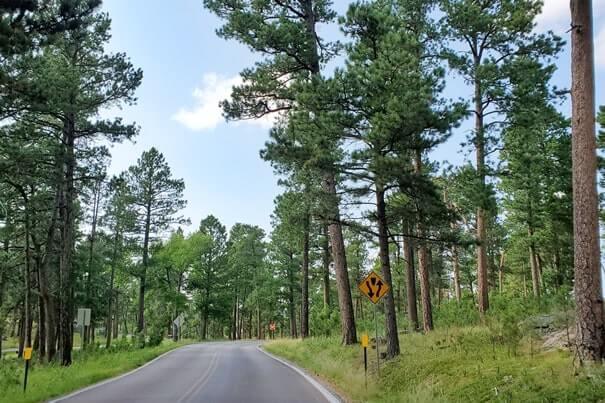 Driving iron mountain road to cc gideon tunnel, black hills national forest. south dakota travel blog