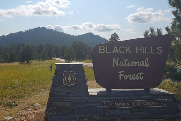 Driving through Black Hills National Forest to get to CC Gideon Tunnel on iron mountain road. south dakota travel blog