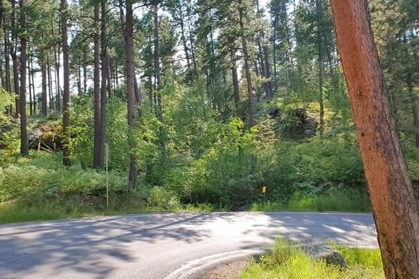 Driving from cc gideon tunnel to more of iron mountain road. south dakota travel blog