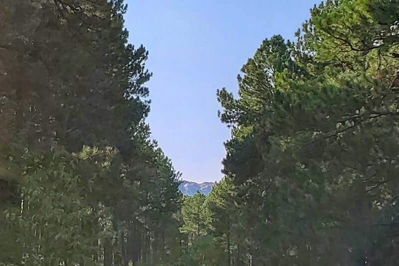 CC Gideon Tunnel view of Mount Rushmore on Iron Mountain Road. Driving through Iron Mountain Road tunnel to see Mount Rushmore. black hills national forest. south dakota travel blog