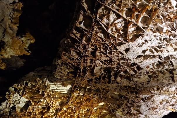 best cave national parks in south dakota. things to do in south dakota national park, wind cave national park. 2 days in south dakota national parks itinerary. sd travel blog