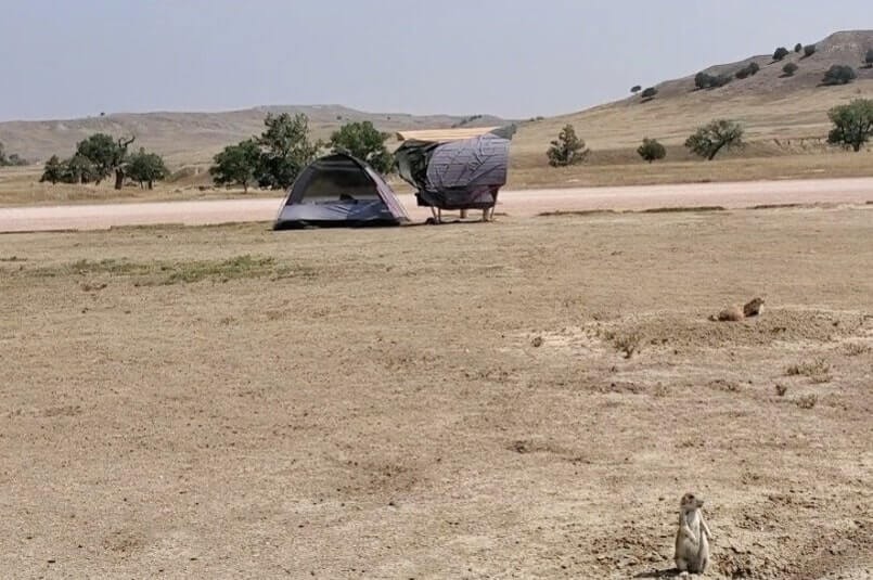 Badlands National Park prairie dog town. Where to see prairie dogs in Badlands National Park while camping. Badlands National Park campground with prairie dogs. South Dakota campground with prairie dogs. Sage Creek campground prairie dog town. Camping with prairie dogs in South Dakota. sd travel blog
