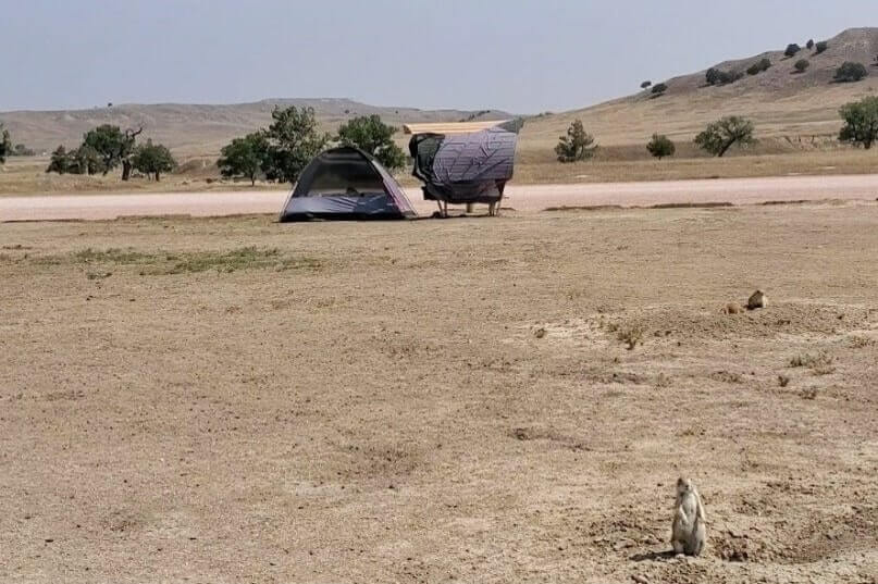 prairie dogs in Badlands National Park campground. Badlands National Park campground with prairie dogs. south dakota travel blog