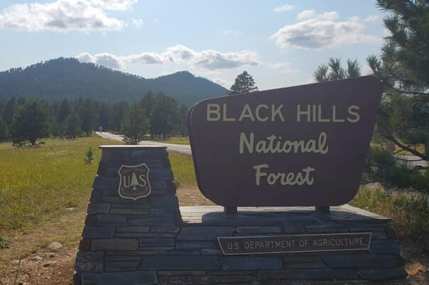 Driving through Black Hills National Forest to get to Scovel Johnson Tunnel on iron mountain road. south dakota travel blog