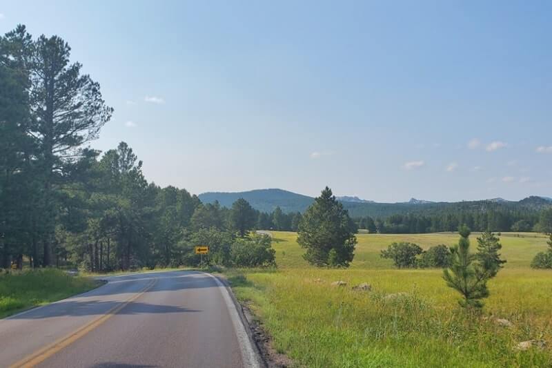 Driving through black hills national forest on iron mountain road to scovel johnson tunnel. south dakota travel blog.