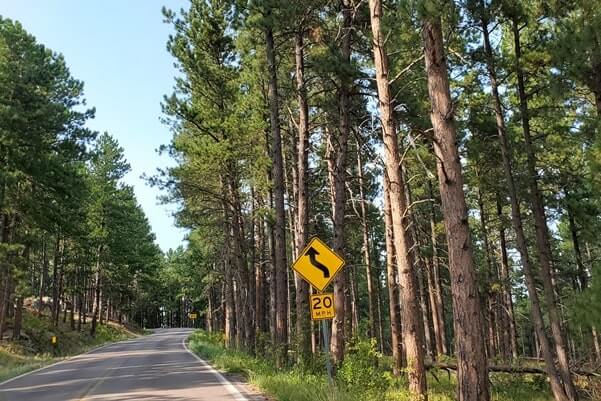 Driving through black hills national forest on iron mountain road to scovel johnson tunnel. south dakota travel blog.