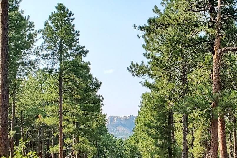 Driving with mount rushmore views on iron mountain road away from scovel johnson tunnel. south dakota travel blog.