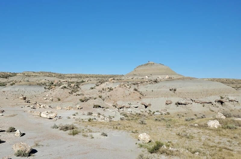 Things to do in Theodore Roosevelt National Park South Unit: petrified forest trail. north dakota travel blog