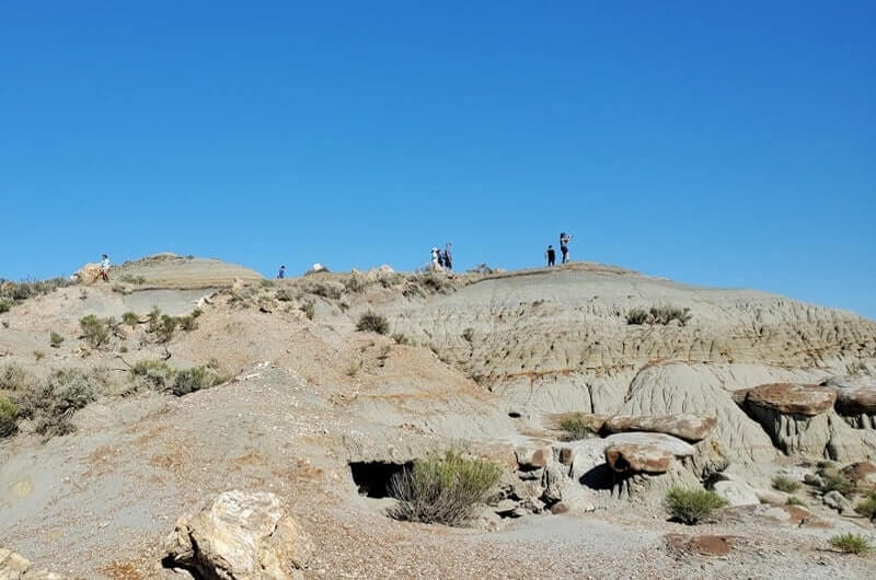 Things to do in Theodore Roosevelt National Park South Unit: petrified forest trail. north dakota travel blog