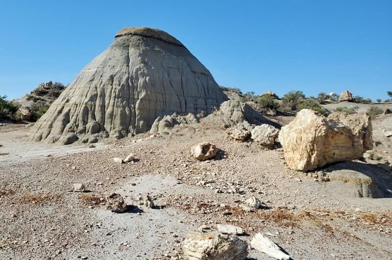 Things to do in Theodore Roosevelt National Park South Unit: petrified forest trail. north dakota travel blog