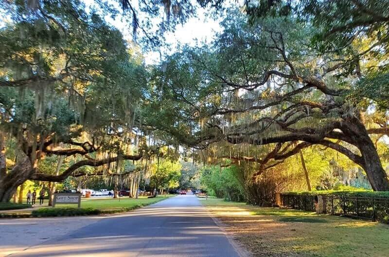 Stops along Jacksonville to disney world drive: Washington Oaks Gardens State Park. florida state parks near jacksonville, near disney world. Jacksonville to Washington Oaks Gardens State Park to disney world. florida travel blog