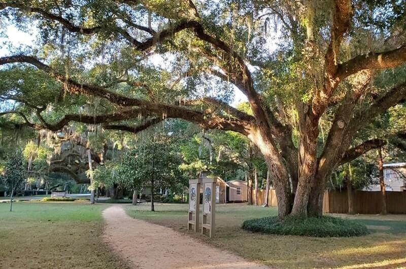 Stops along Jacksonville to disney world drive: Washington Oaks Gardens State Park. florida state parks near jacksonville, near disney world. Jacksonville to Washington Oaks Gardens State Park to disney world. florida travel blog