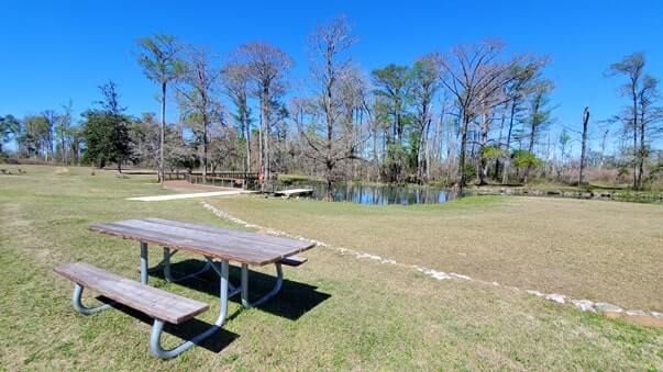 blue hole spring picnic area. florida caverns state park. florida travel blog