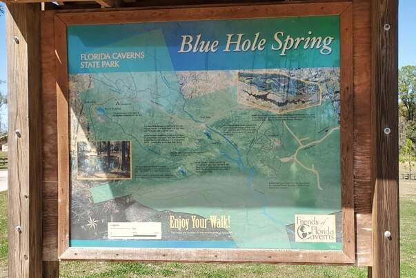 blue hole spring swimming water temperature. florida caverns state park springs. florida travel blog