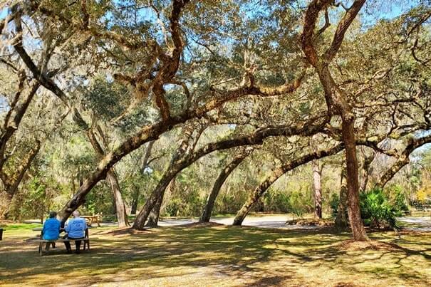 Fanning Springs State Park picnic area near springs. Things to do in Fanning Springs State Park. florida travel blog.
