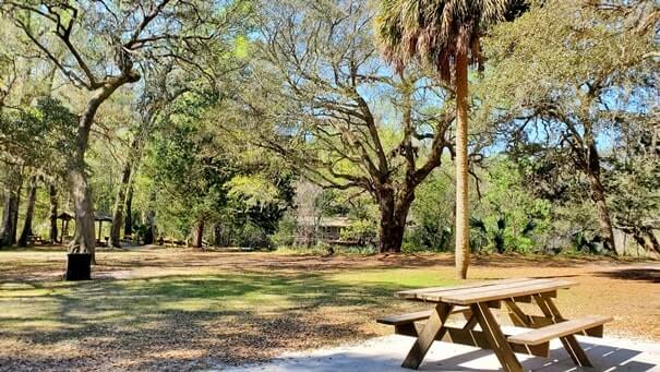 Fanning Springs State Park picnic area near springs. Things to do in Fanning Springs State Park. florida travel blog.