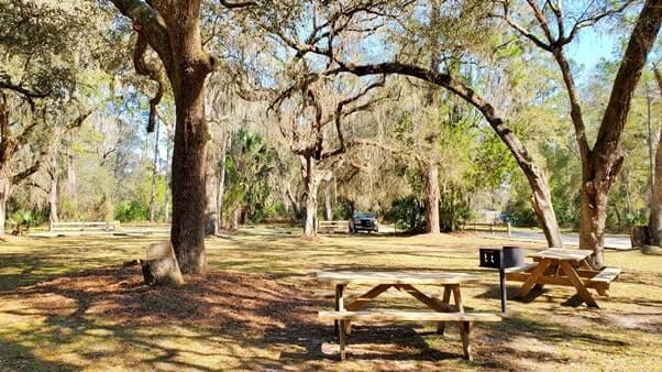Fanning Springs picnic area near swimming. florida travel blog.