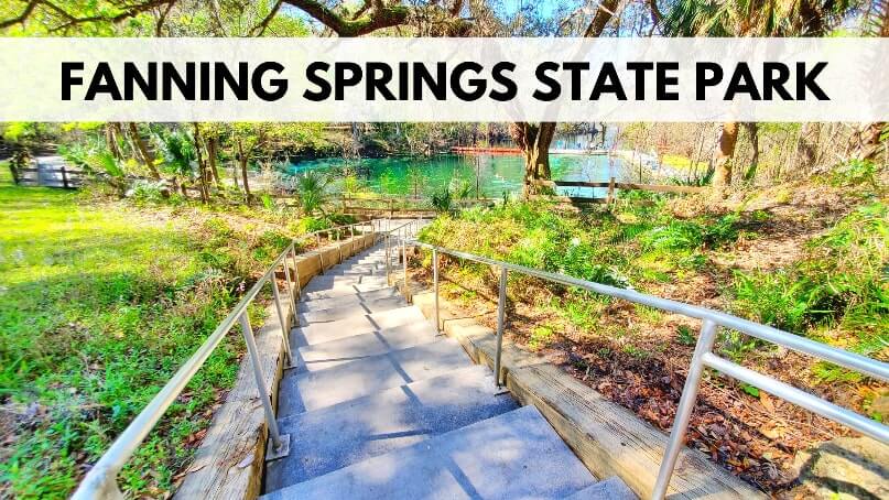 Fanning Springs State Park swimming. Fanning Springs swimming. Things to do in Fanning Springs State Park. florida springs. florida travel blog.