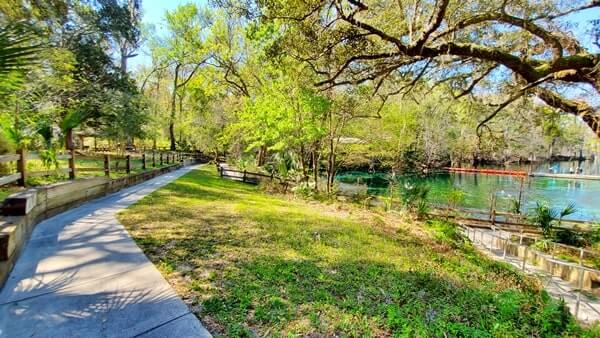 trail to Fanning Springs swimming area. florida travel blog.