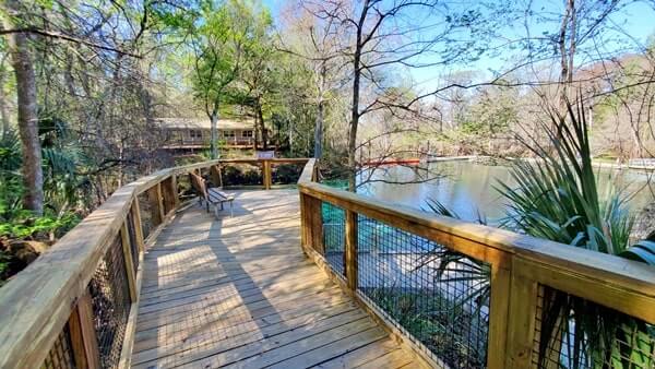 fanning springs state park trail to Fanning Springs swimming area. florida travel blog.