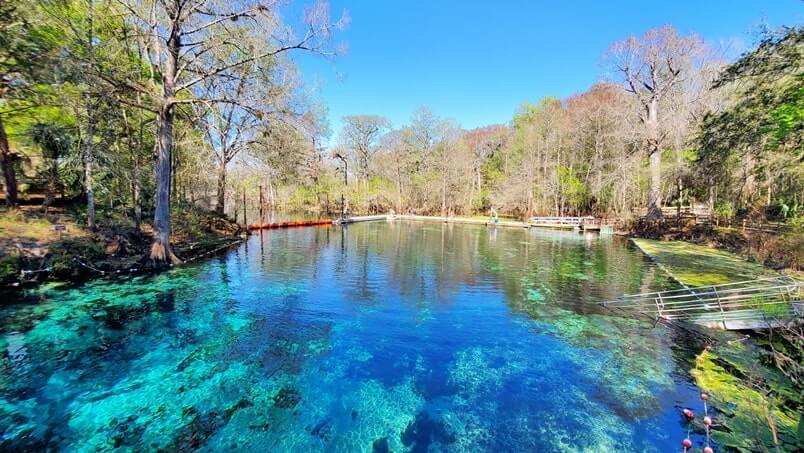 Fanning Springs State Park swimming area. florida travel blog.