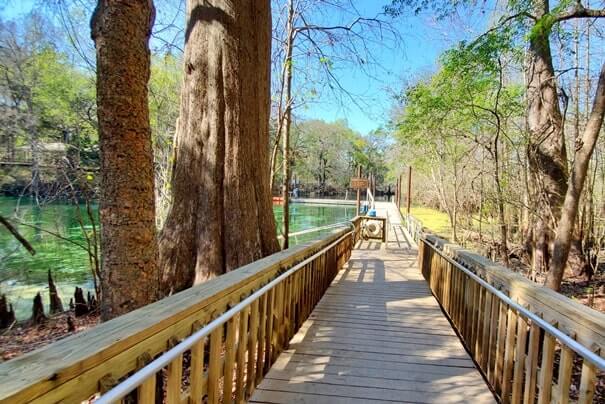 Fanning Springs State Park swimming area. florida travel blog.