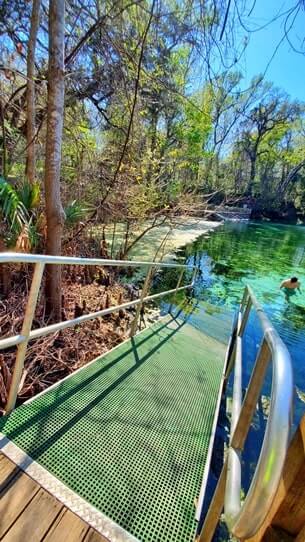 Fanning Springs State Park swimming area. florida travel blog.