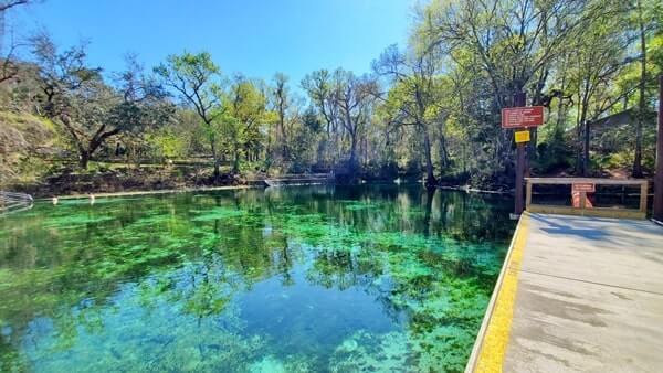 Fanning Springs State Park swimming area. florida travel blog.