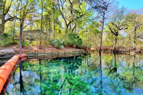 Fanning Springs State Park swimming area. florida travel blog.