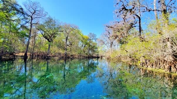 Fanning Springs State Park swimming area. florida travel blog.