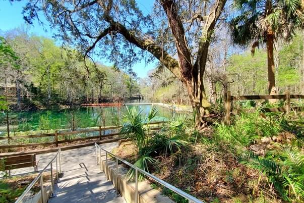 fanning springs state park trail to Fanning Springs swimming area. florida travel blog.