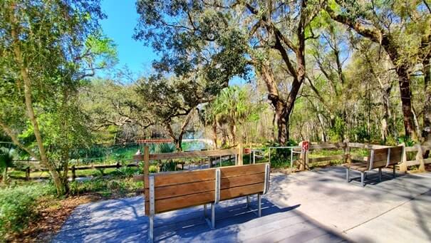 trail to Fanning Springs swimming area. florida travel blog.
