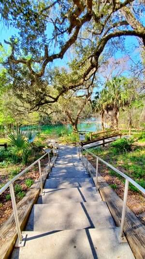 trail to Fanning Springs swimming area. florida travel blog.