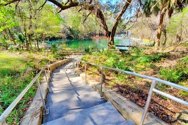 fanning springs state park trail to Fanning Springs swimming area. florida travel blog.