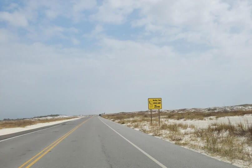 Driving to Opal Beach. driving through gulf islands national seashore, santa rosa area. shore birds nesting area. florida travel blog
