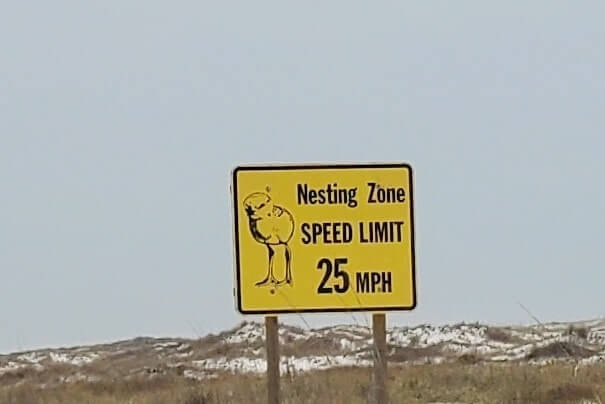 Driving to Opal Beach. driving through gulf islands national seashore, santa rosa area. shore birds nesting area. florida travel blog