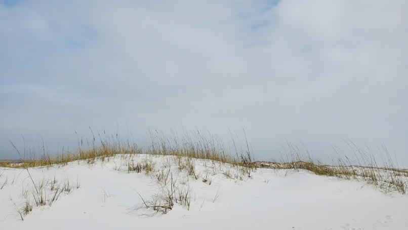low lying coastal sand dunes at Opal Beach Florida: Gulf Islands National Seashore sand dunes. Santa Rosa area. florida gulf coast sand dunes in florida panhandle. florida travel blog