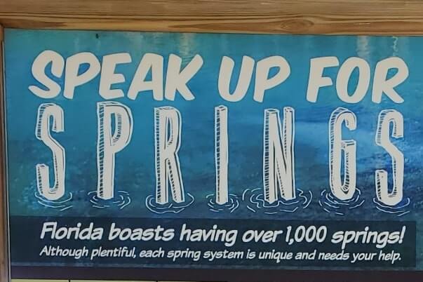 Pensacola to Orlando drive. Florida springs to see between pensacola and orlando. florida road trip travel blog