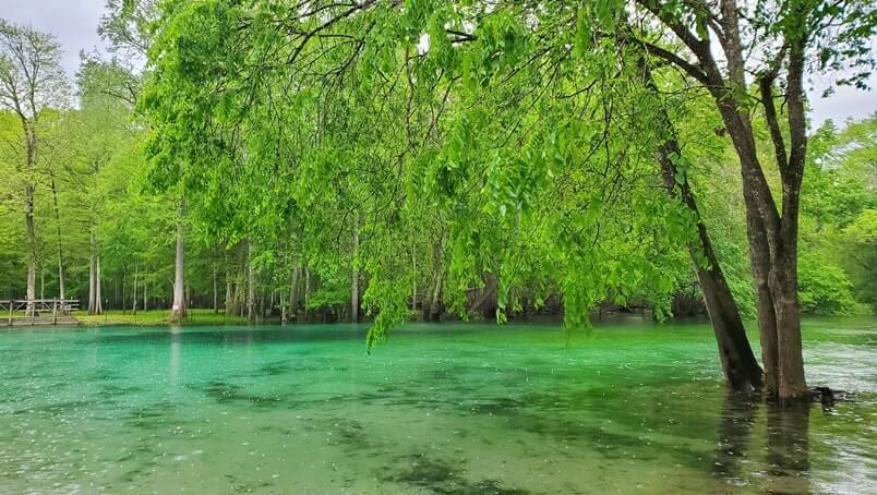 Pensacola to Orlando drive: Stop to see Gilchrist Blue Springs State Park. Florida springs between pensacola and orlando. florida road trip travel blog