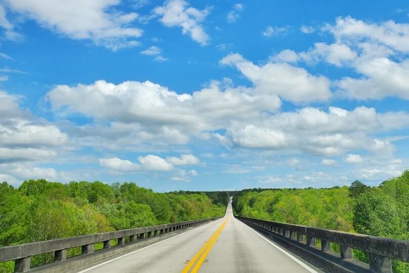Pensacola to Orlando drive: driving to ocala national forest. national forests between pensacola and orlando. florida road trip travel blog