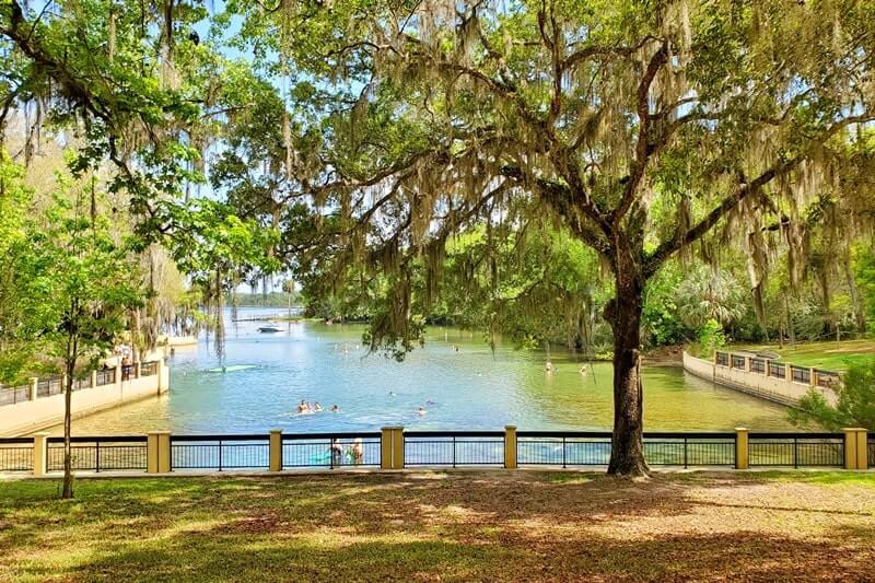 Pensacola to Orlando drive: stop to see ocala national forest springs. salt springs. national forests between pensacola and orlando. florida road trip travel blog