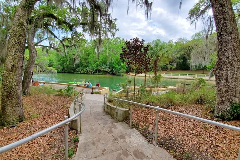 Pensacola to Orlando drive: stop to see ocala national forest springs. salt springs. national forests between pensacola and orlando. florida road trip travel blog