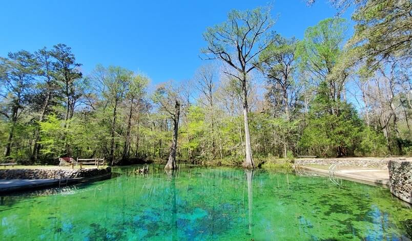 Pensacola to Orlando drive: Stop to see Ponce de Leon Springs State Park. Florida springs between pensacola and orlando. florida road trip travel blog