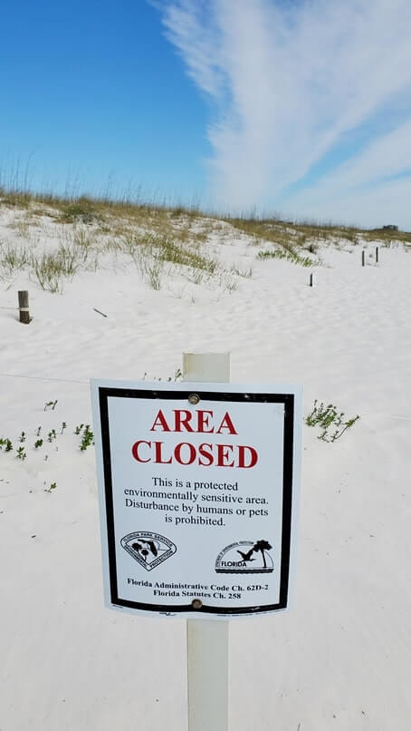 perdido key state park dunes at beach. florida travel blog