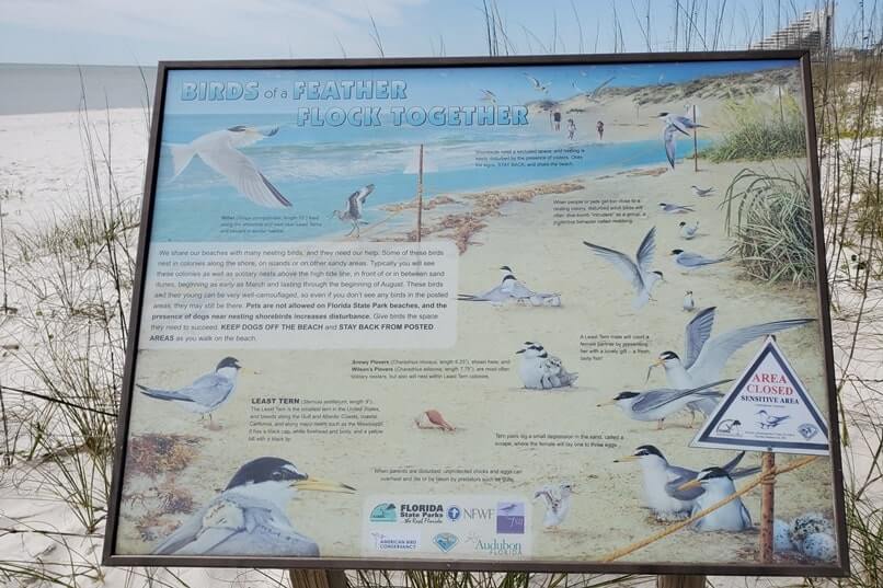 perdido key state park dunes at beach nesting area. florida travel blog