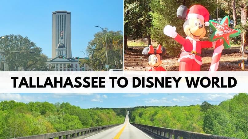Tallahassee to Disney World drive. florida road trip. what is there to see between tallahassee and disney world. tallahassee to walt disney world. florida travel blog